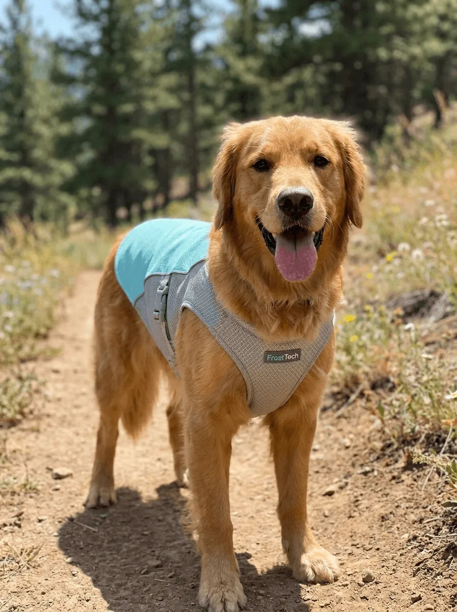 FrostTech™ Cooling Vest