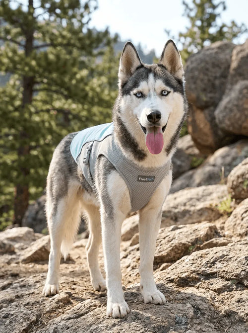 FrostTech™ Cooling Vest
